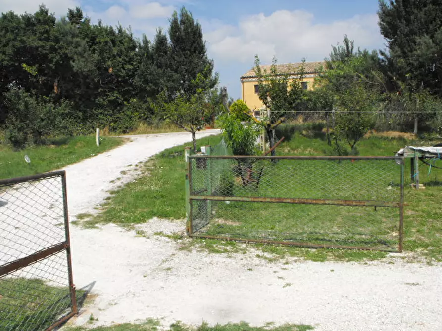Immagine 2 di Rustico / casale in vendita  a Senigallia