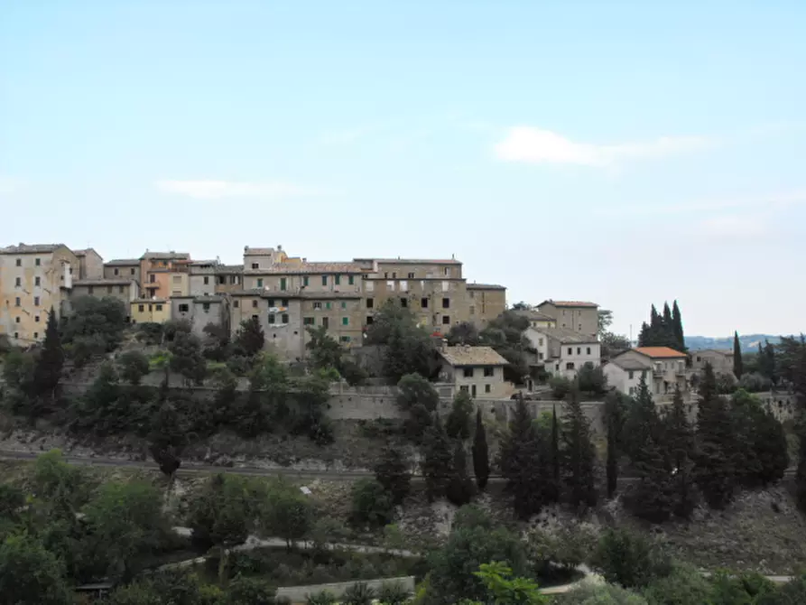 Immagine 1 di Negozio in vendita  a Serra San Quirico