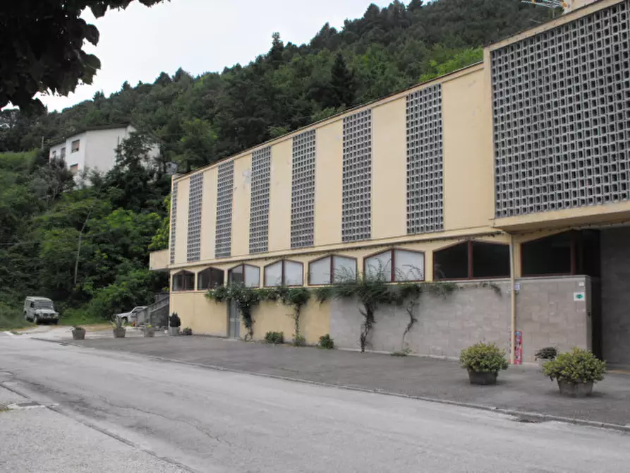 Immagine 13 di Negozio in vendita  a Serra San Quirico