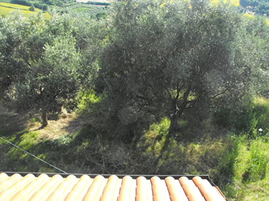 Immagine 3 di Appartamento in vendita  a Senigallia