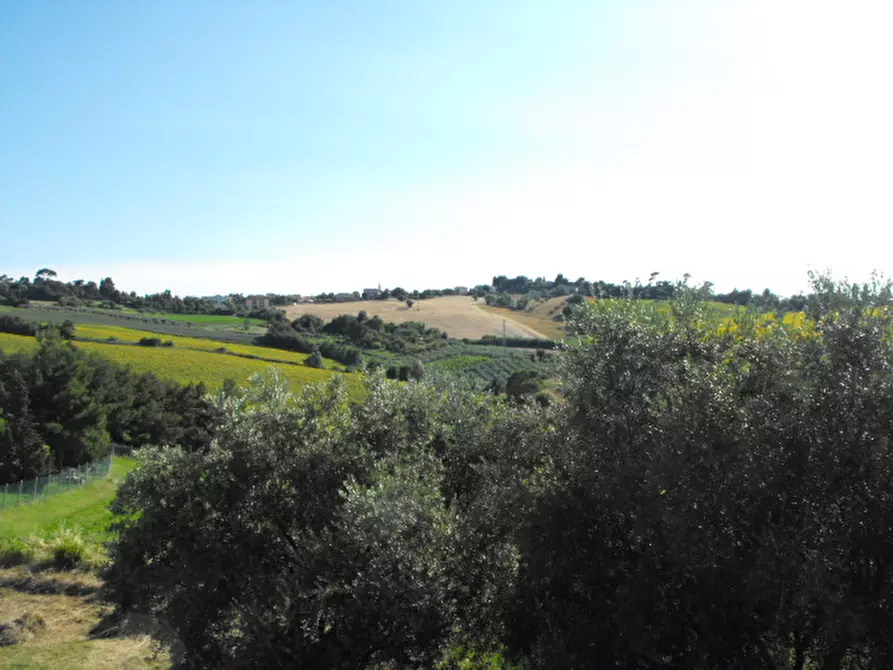 Immagine 4 di Appartamento in vendita  a Senigallia