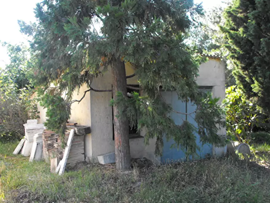 Immagine 12 di Appartamento in vendita  a Senigallia