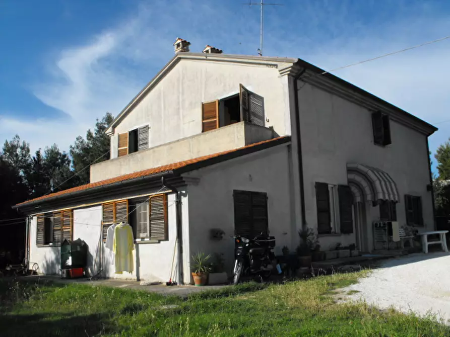 Immagine 14 di Appartamento in vendita  a Senigallia