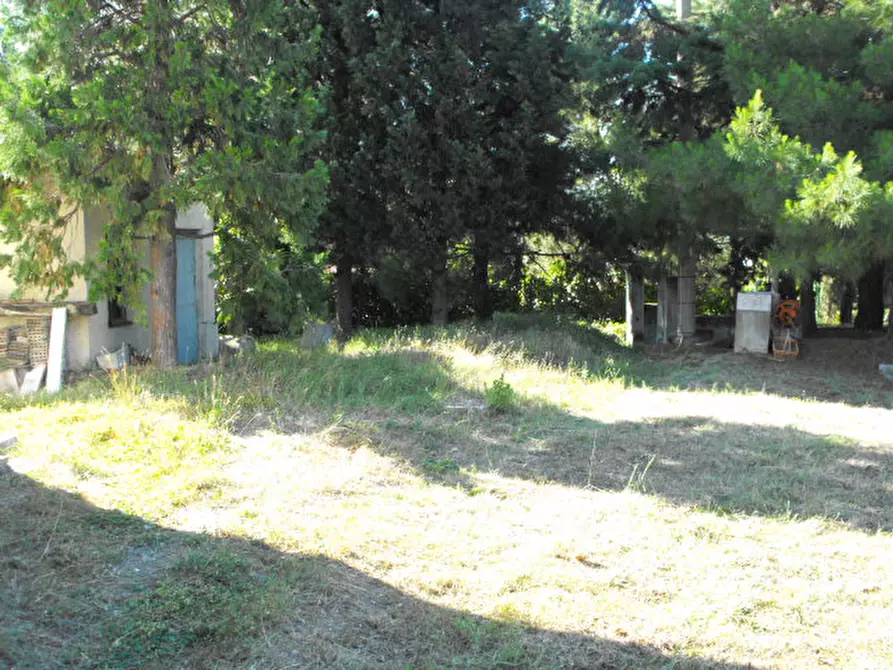 Immagine 17 di Appartamento in vendita  a Senigallia