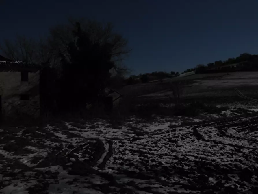 Immagine 2 di Rustico / casale in vendita  a Corinaldo