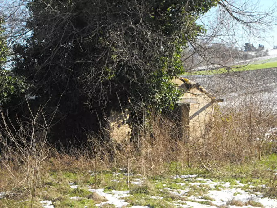 Immagine 4 di Rustico / casale in vendita  a Corinaldo