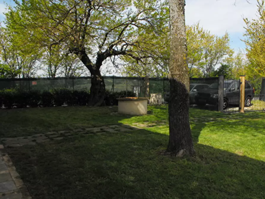 Immagine 7 di Casa indipendente in vendita  a Senigallia