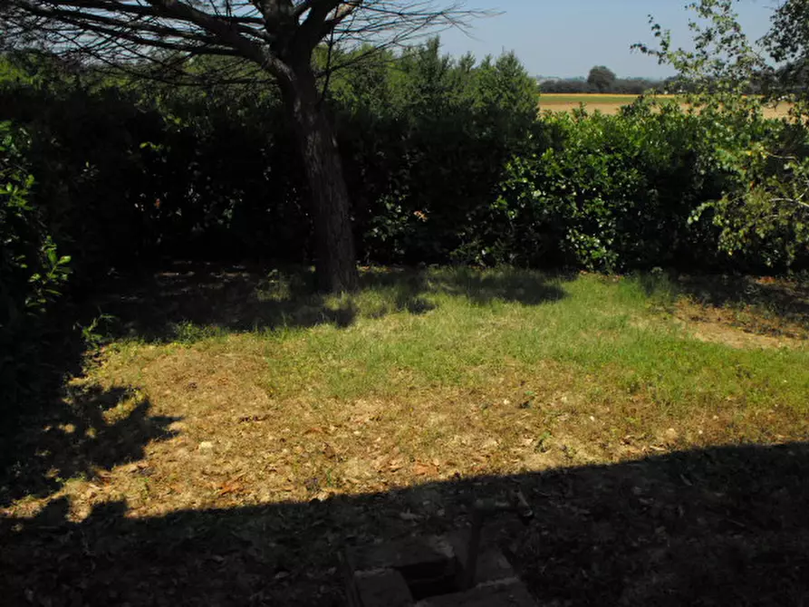 Immagine 18 di Villetta a schiera in vendita  a Corinaldo