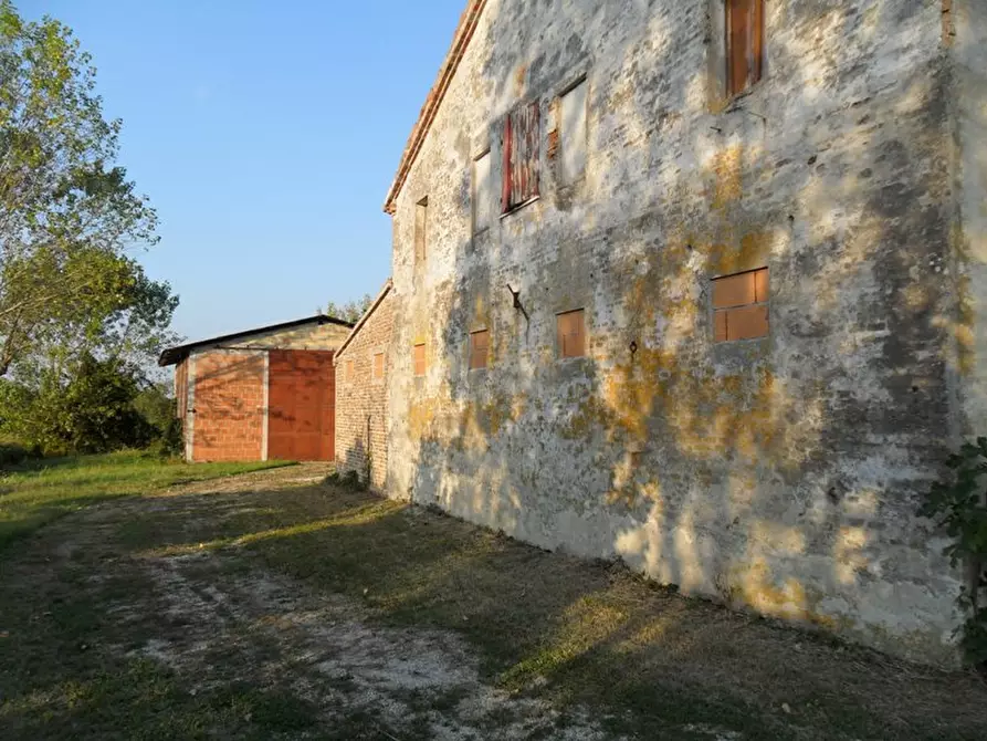 Immagine 3 di Casa indipendente in vendita  a Ostra Vetere