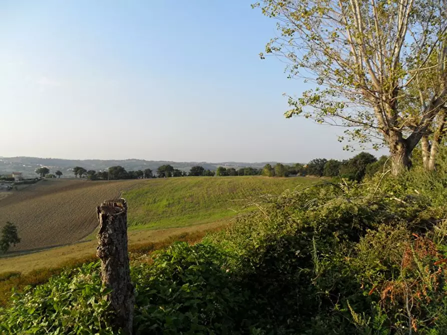Immagine 5 di Casa indipendente in vendita  a Ostra Vetere
