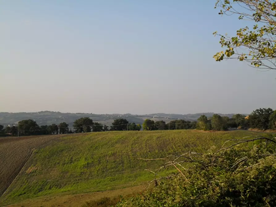 Immagine 6 di Casa indipendente in vendita  a Ostra Vetere