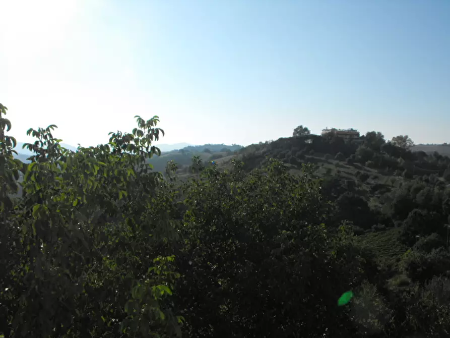 Immagine 14 di Casa indipendente in vendita  a Rosora