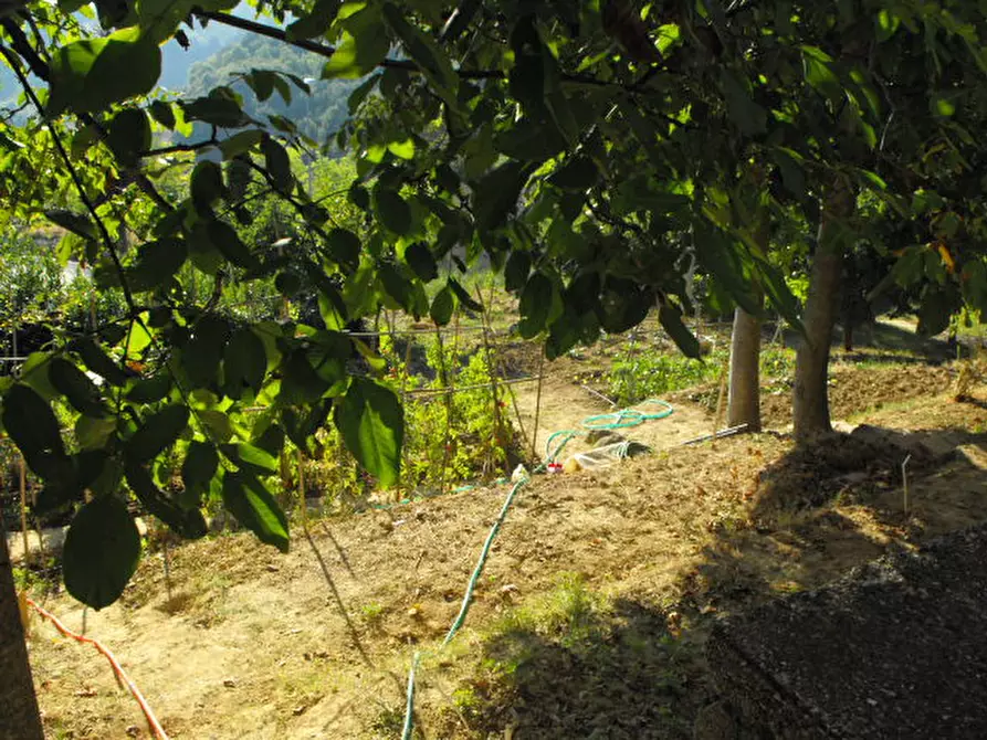 Immagine 26 di Casa indipendente in vendita  a Rosora