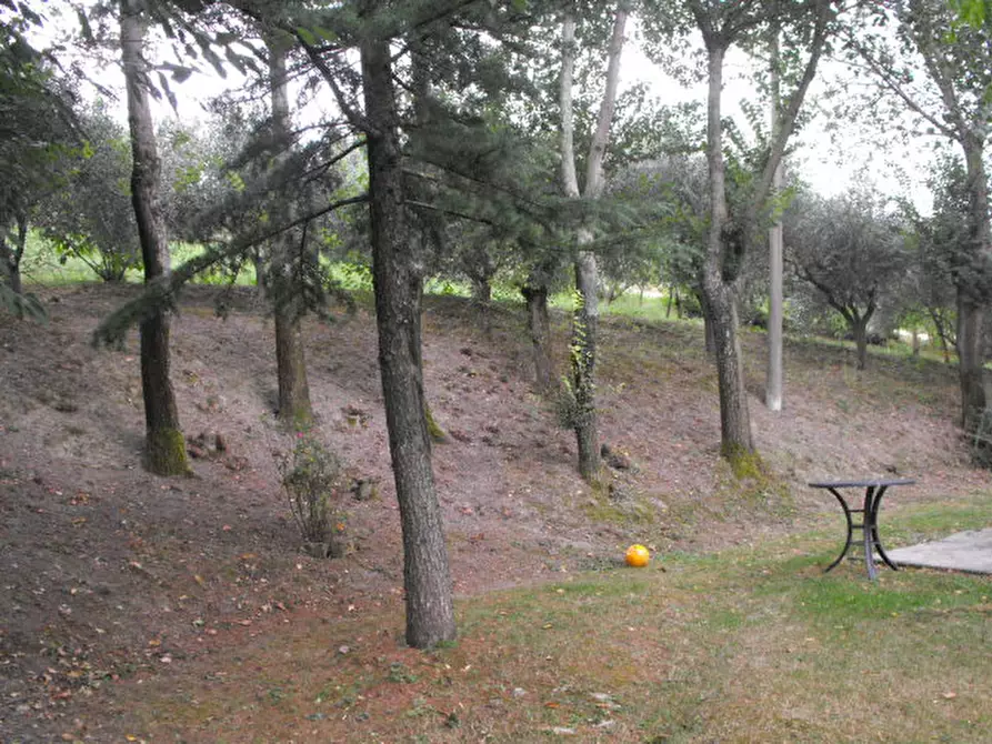 Immagine 26 di Casa indipendente in vendita  a Senigallia