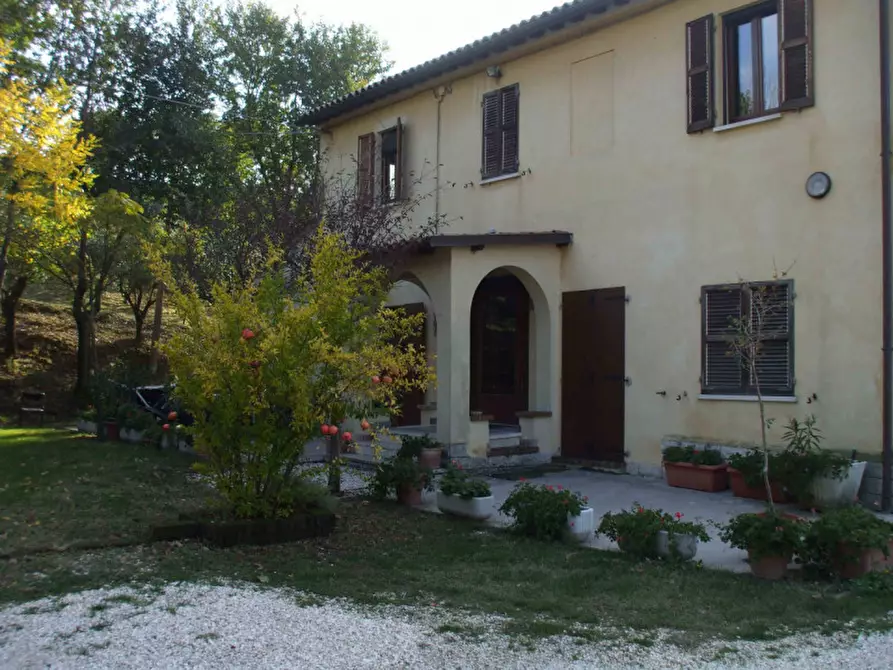 Immagine 30 di Casa indipendente in vendita  a Senigallia