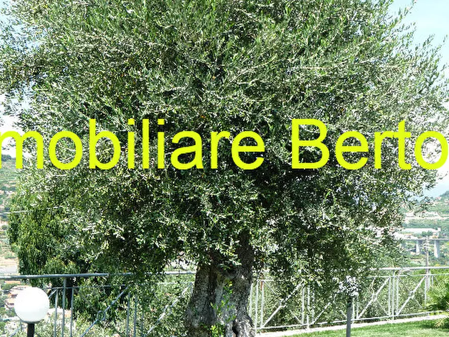 Immagine 23 di Villa in vendita  in Bordighera a Bordighera