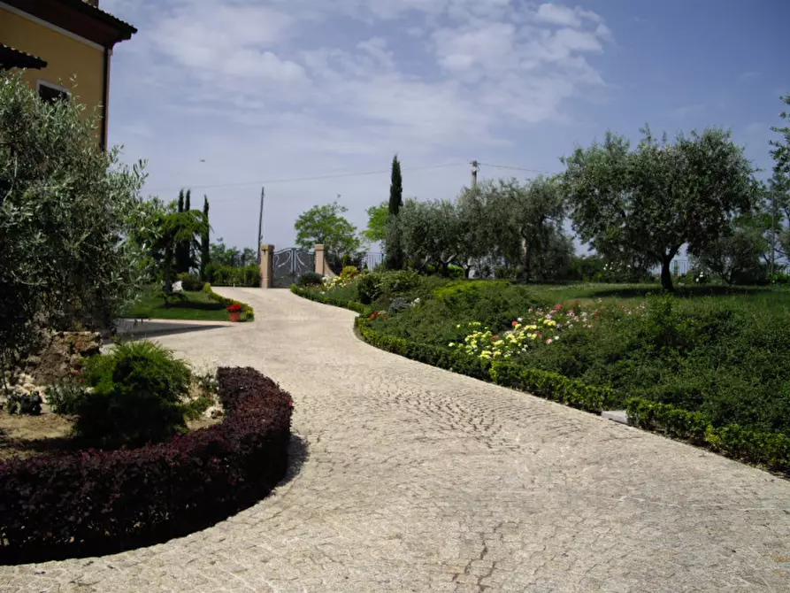 Immagine 11 di Casa indipendente in vendita  a Senigallia