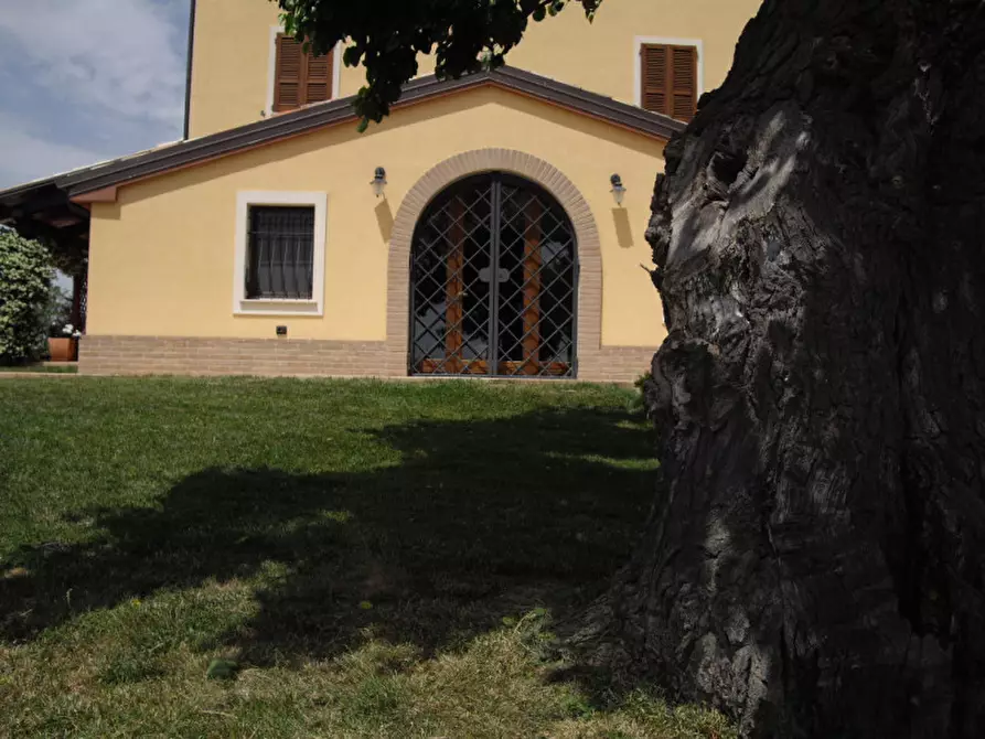 Immagine 13 di Casa indipendente in vendita  a Senigallia