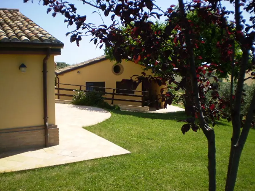 Immagine 32 di Casa indipendente in vendita  a Senigallia