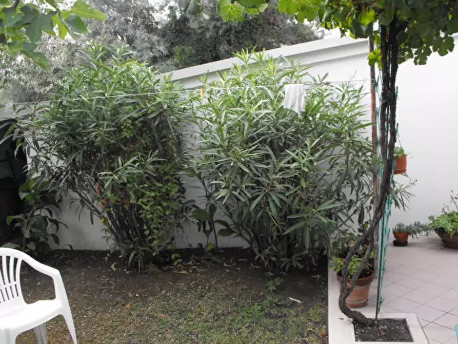 Immagine 11 di Villetta a schiera in vendita  a Senigallia