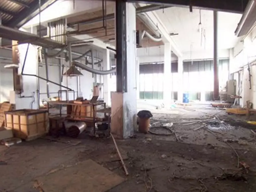 Immagine 4 di Capannone industriale in vendita  in VIA MONTE CASSINO a Baranzate