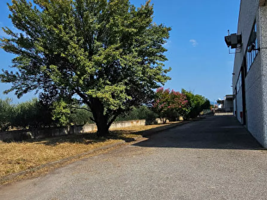 Immagine 13 di Capannone industriale in affitto  in ZAI a San Bonifacio