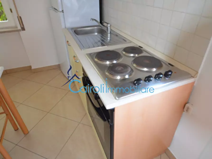 Immagine 16 di Monolocale in affitto  a Pavia