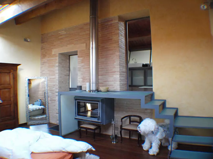 Immagine 3 di Appartamento in vendita  a Monte San Vito