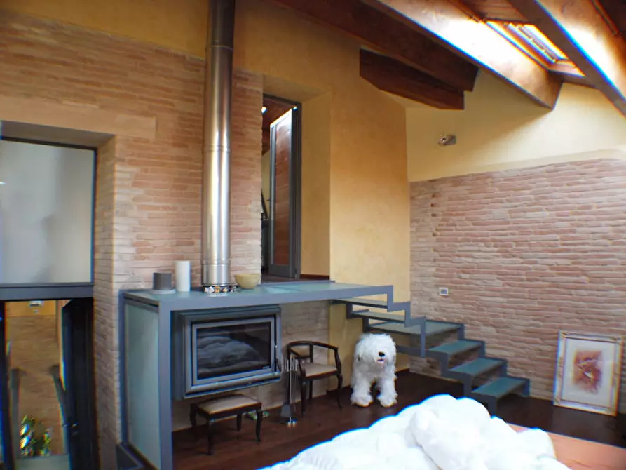 Immagine 21 di Appartamento in vendita  a Monte San Vito