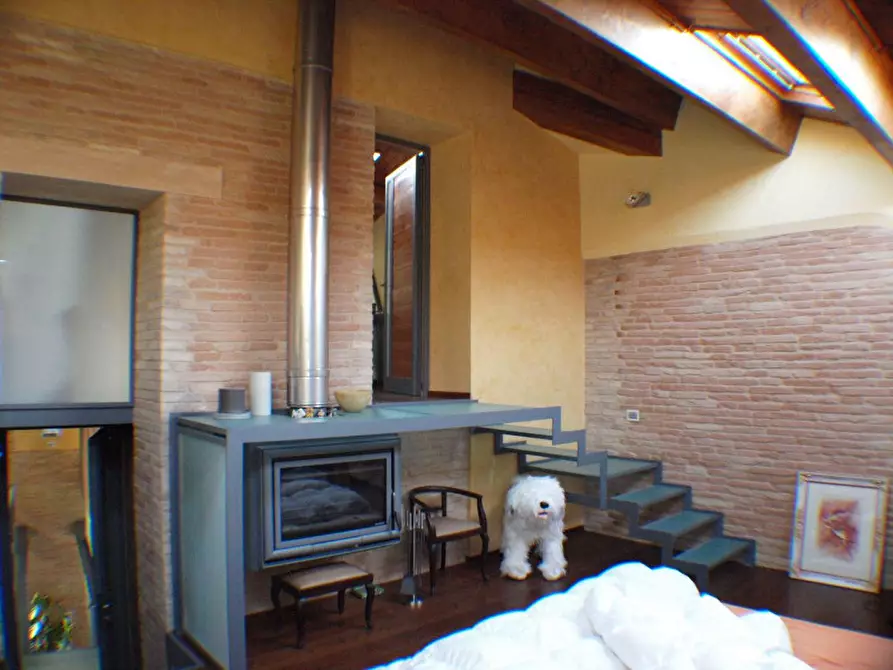 Immagine 22 di Appartamento in vendita  a Monte San Vito