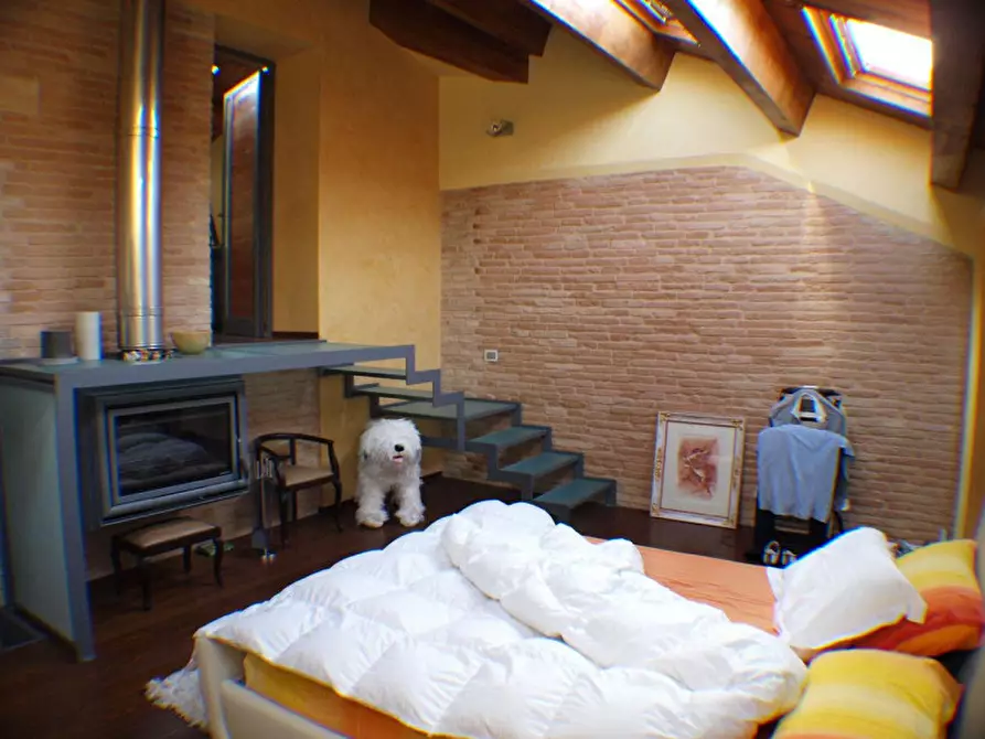 Immagine 24 di Appartamento in vendita  a Monte San Vito