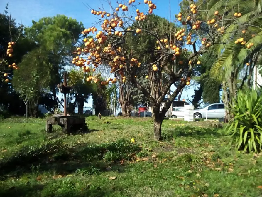 Immagine 1 di Rustico / casale in vendita  a Senigallia