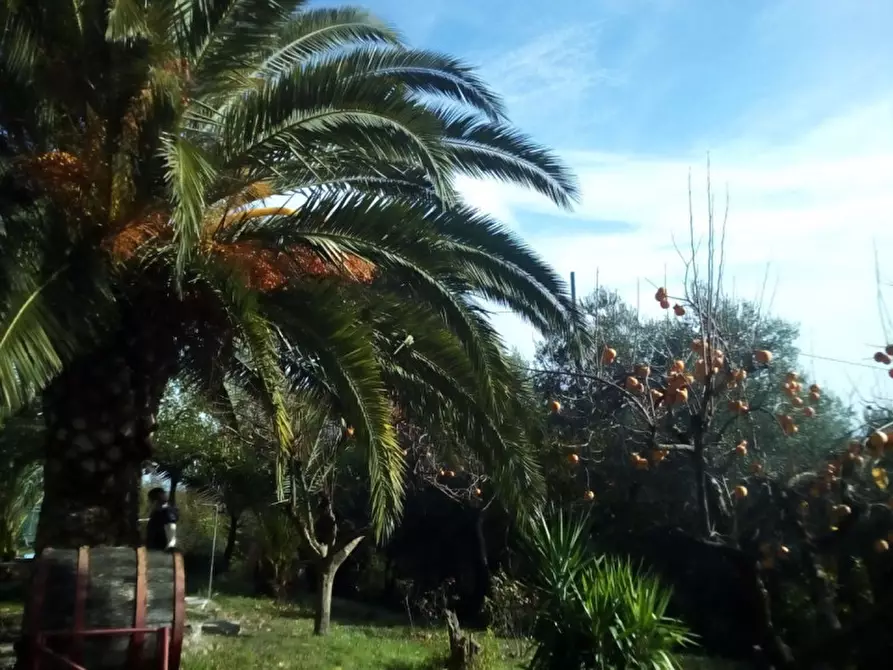 Immagine 4 di Rustico / casale in vendita  a Senigallia