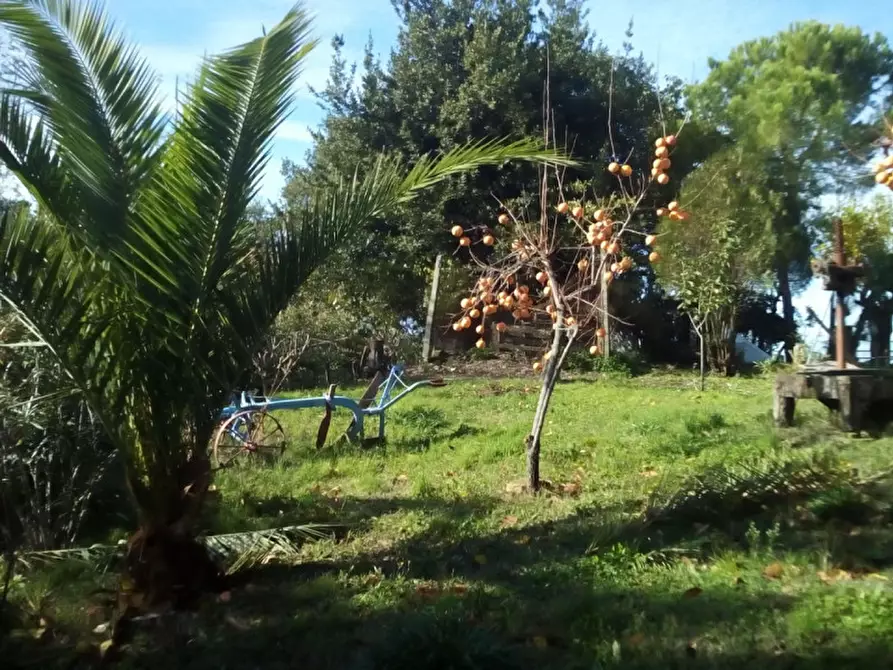 Immagine 7 di Rustico / casale in vendita  a Senigallia