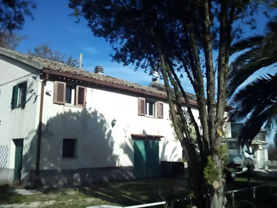 Immagine 14 di Rustico / casale in vendita  a Senigallia