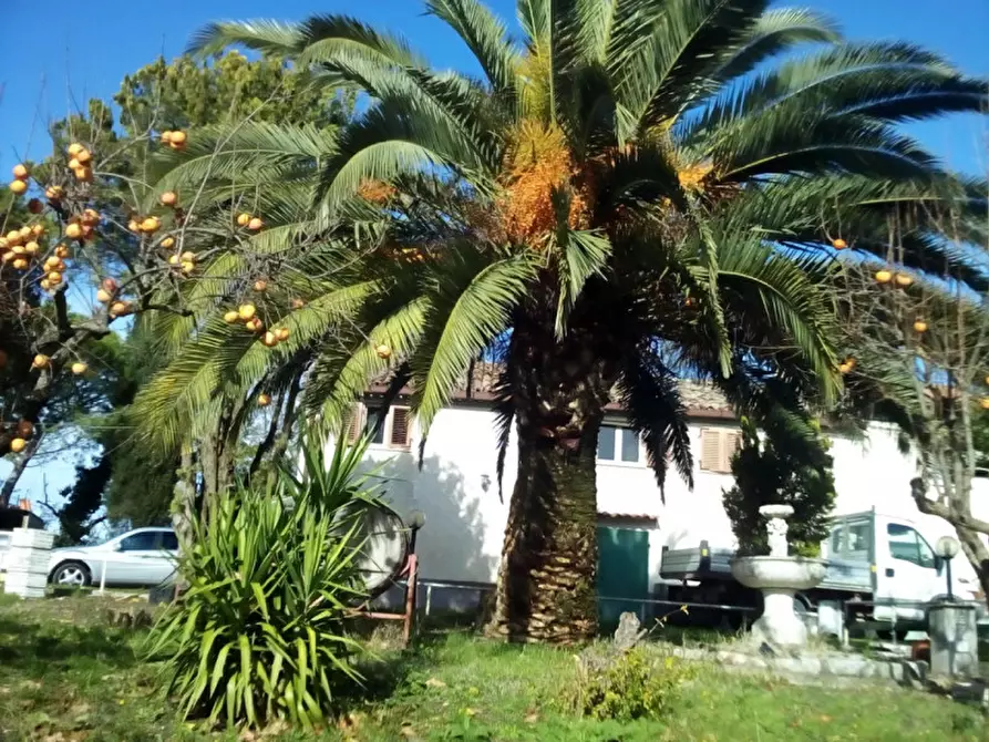Immagine 41 di Rustico / casale in vendita  a Senigallia