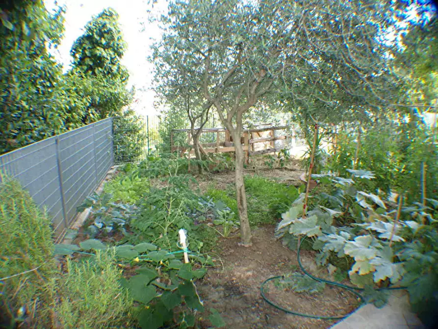 Immagine 26 di Casa indipendente in vendita  a Corinaldo