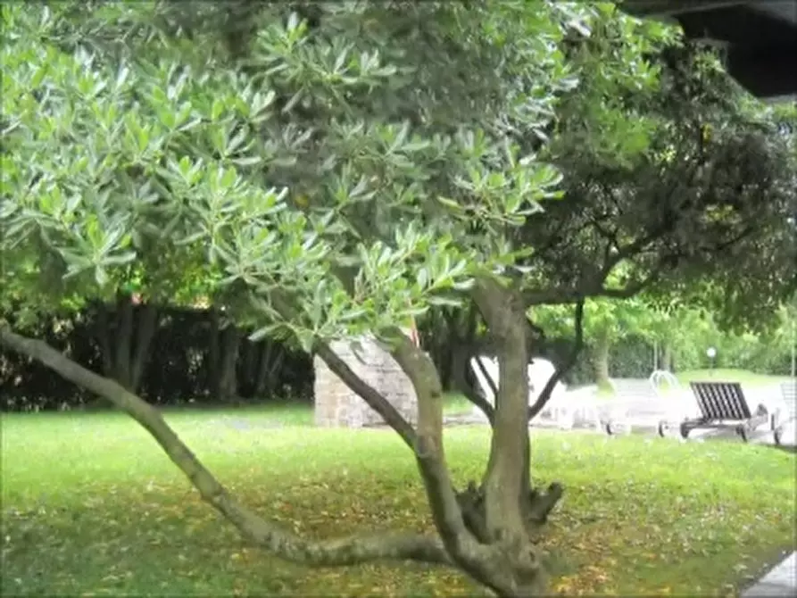 Immagine 3 di Villa in vendita  a Rosolina