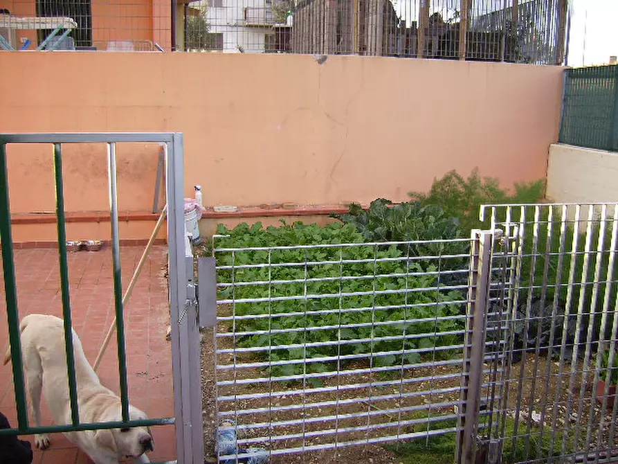 Immagine 7 di Appartamento in vendita  a Mondolfo