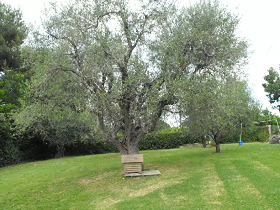 Immagine 5 di Casa indipendente in vendita  a Senigallia