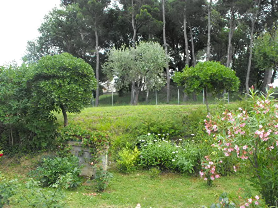 Immagine 21 di Casa indipendente in vendita  a Senigallia