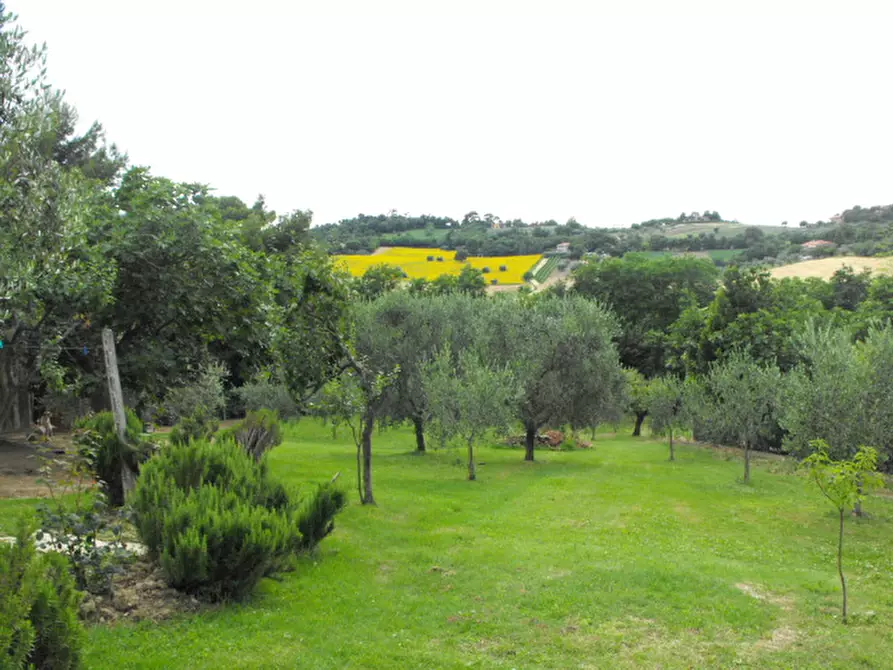 Immagine 28 di Casa indipendente in vendita  a Senigallia