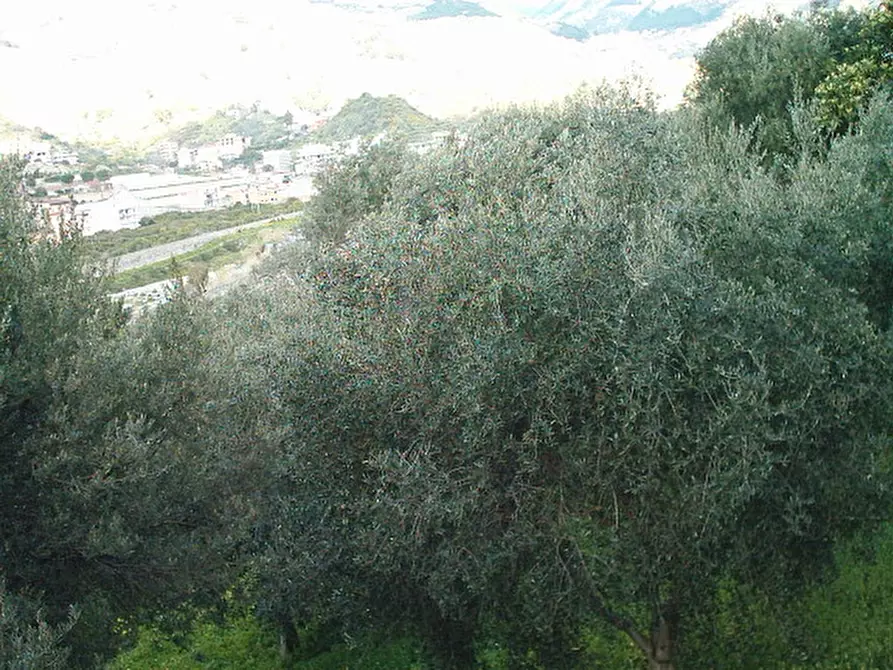Immagine 2 di Terreno in vendita  in Via San Sperato a Reggio Di Calabria