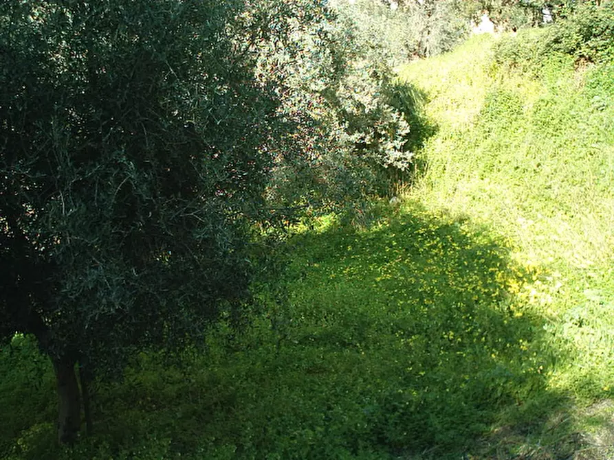 Immagine 3 di Terreno in vendita  in Via San Sperato a Reggio Di Calabria
