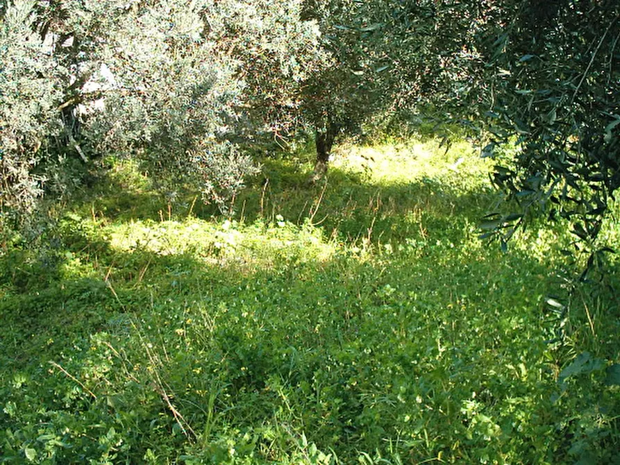 Immagine 4 di Terreno in vendita  in Via San Sperato a Reggio Di Calabria