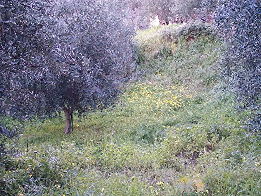 Immagine 7 di Terreno in vendita  in Via San Sperato a Reggio Di Calabria