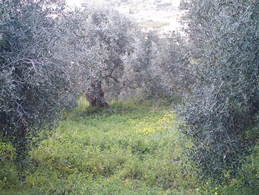 Immagine 9 di Terreno in vendita  in Via San Sperato a Reggio Di Calabria