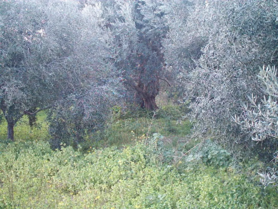 Immagine 10 di Terreno in vendita  in Via San Sperato a Reggio Di Calabria