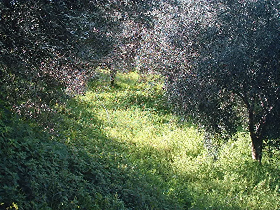 Immagine 12 di Terreno in vendita  in Via San Sperato a Reggio Di Calabria