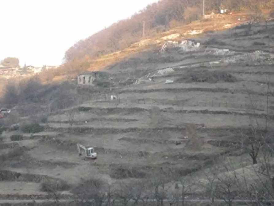 Immagine 1 di Rustico / casale in vendita  a Badia Calavena